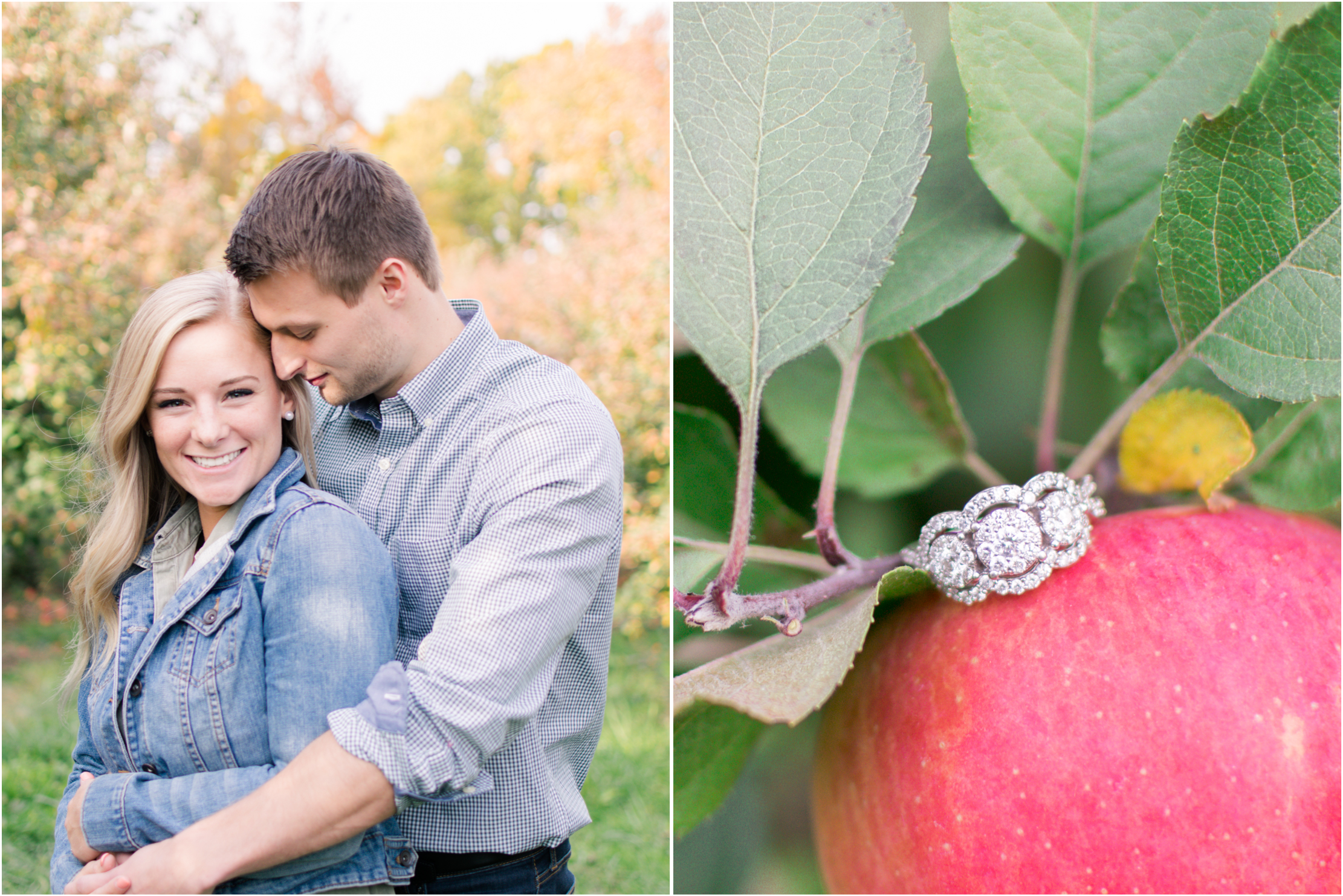 Rose Courts Photography Fort Wayne Indianapolis Indiana Wedding Photographer Apple Orchard Engagement Photography