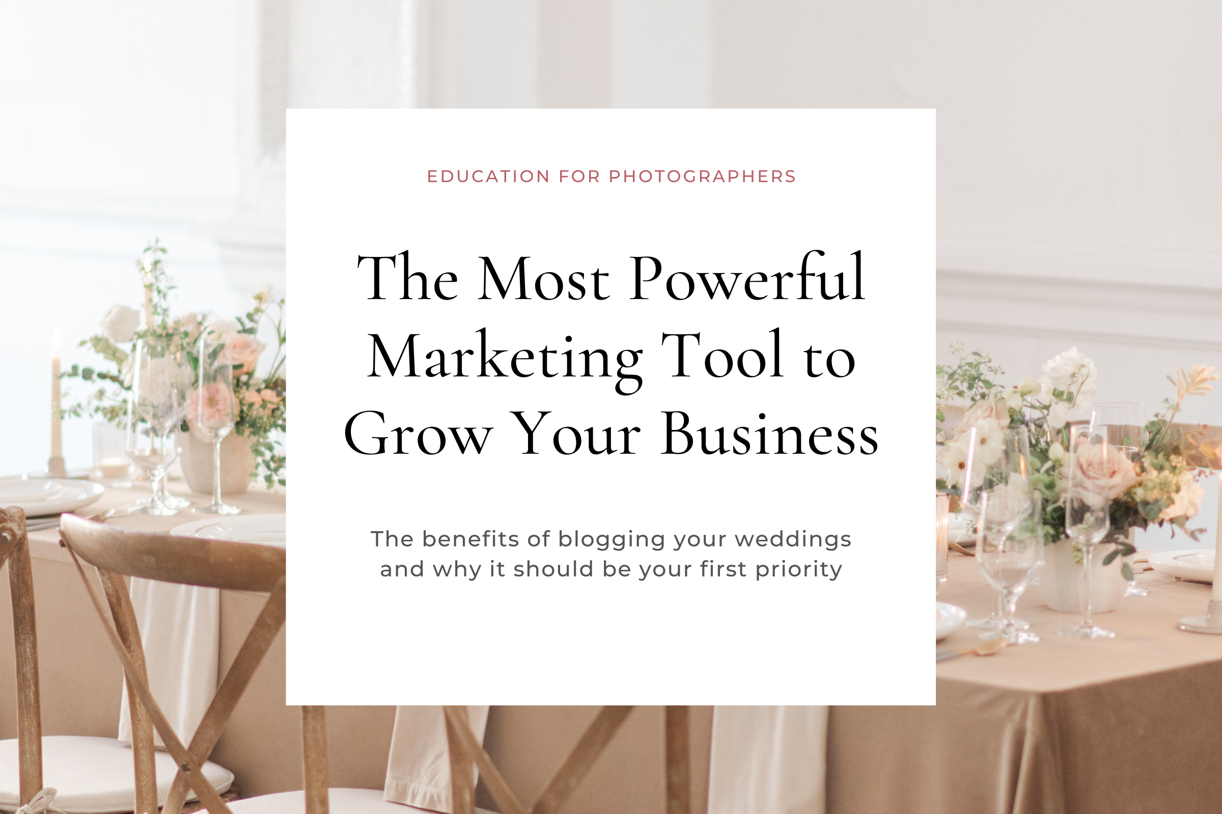 Photographer Education, Workflows, Organization, Marketing, Website and SEO Education for Wedding Photographers