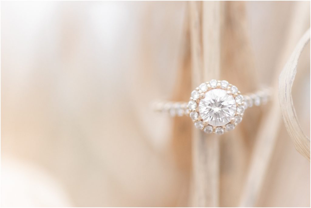 Engagement Rings Indianapolis Wedding Photographer Prices and Packages Spring Engagement Photos Indiana Rose Courts Photography