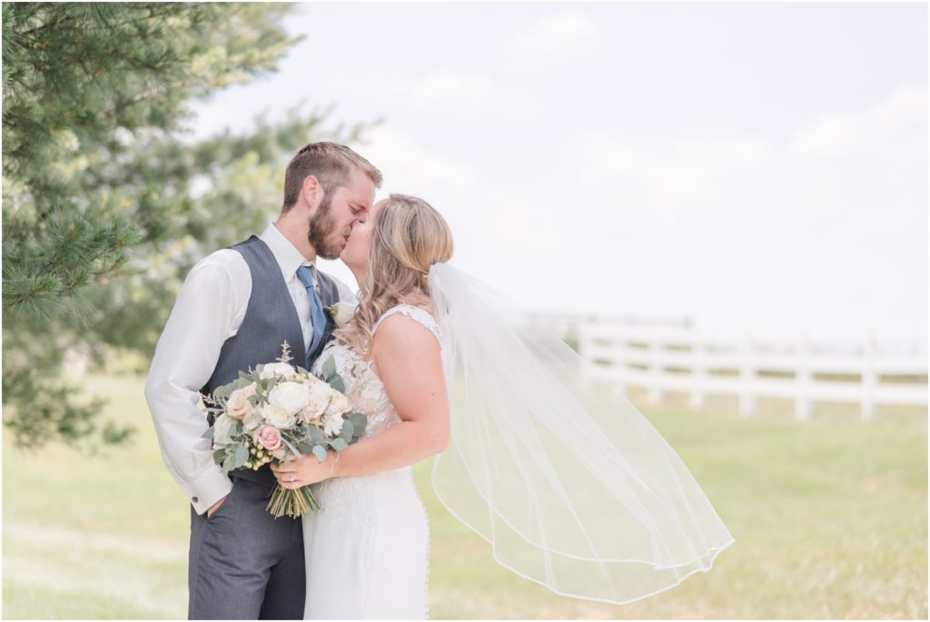 Veil Shot Wedding Photography Blush and Slate Blue Wedding Heritage Farm and Events Indiana Wedding Photographer Rose Courts Photography