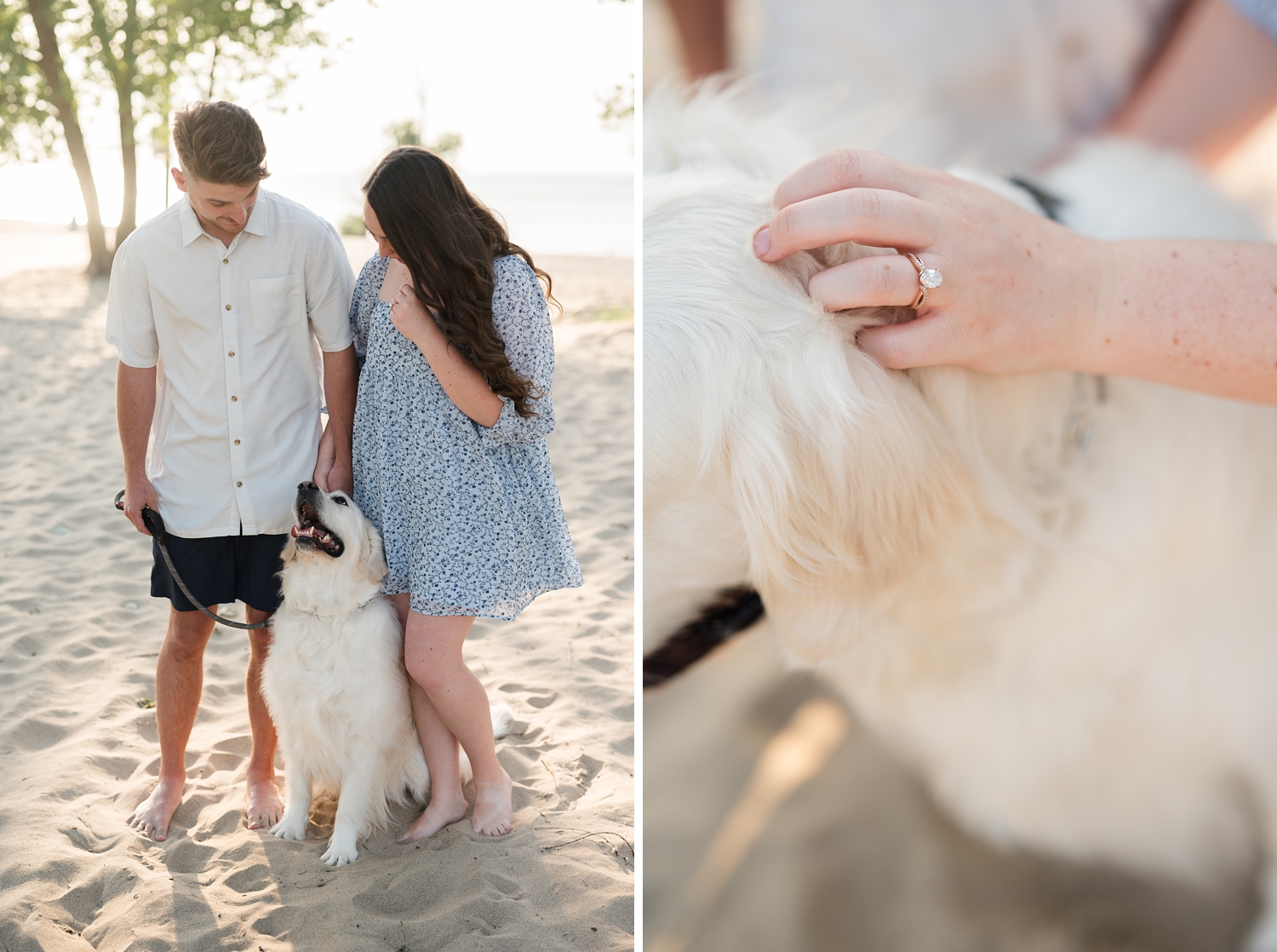 Indiana Dunes Engagement Photos by South Bend Wedding Photographer Courtney Rudicel with english creme golden retriever