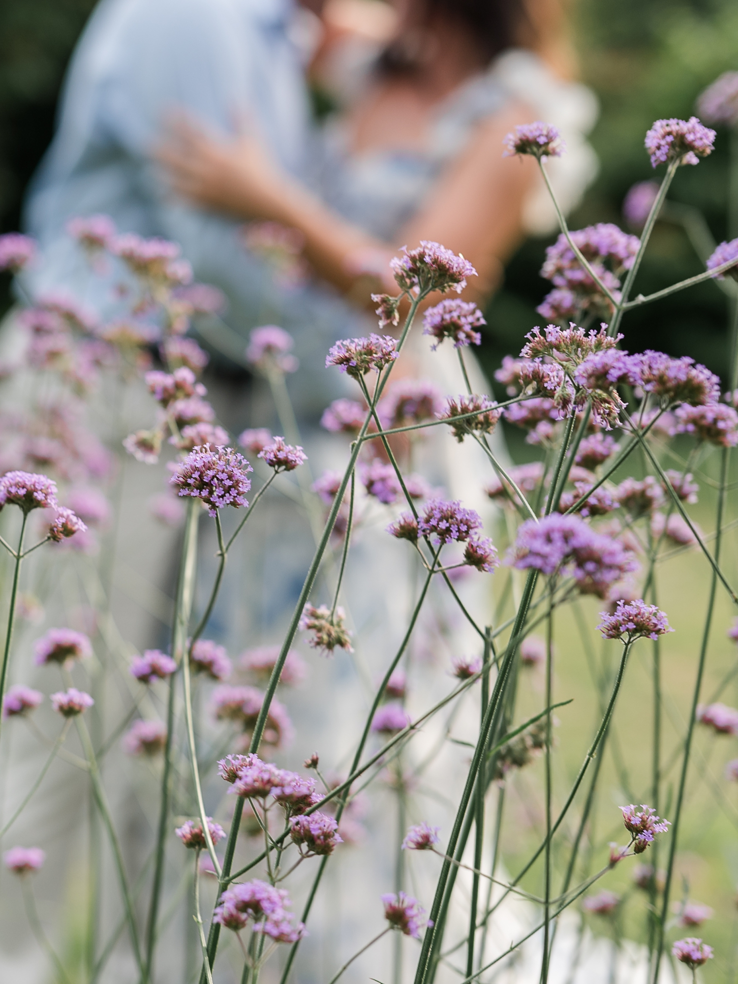 Newfields Engagement Session by Indianapolis Wedding Photographer Courtney Rudicel