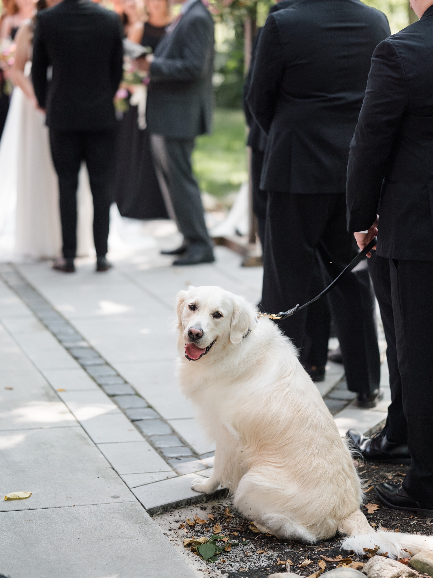 Colorful Wildflower Wedding at The Wooded Knot by South Bend Wedding Photographer Courtney Rudicel