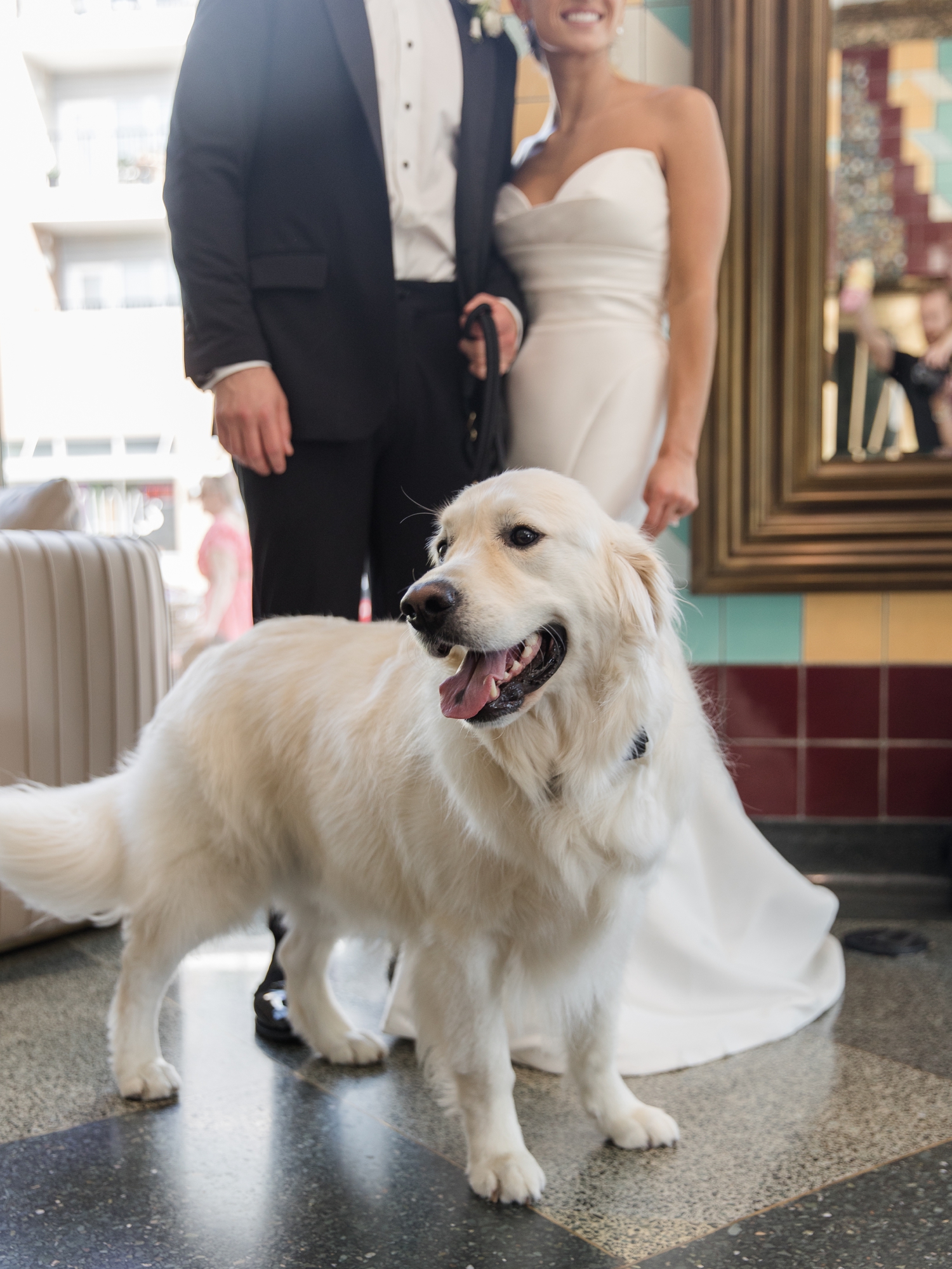 English Cream Golden Retriever greeting guests at cocktail hour in Indianapolis.