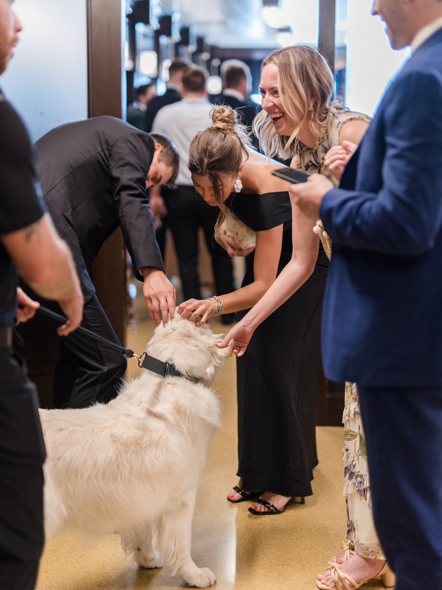 English Cream Golden Retriever greeting guests at cocktail hour in Indianapolis.