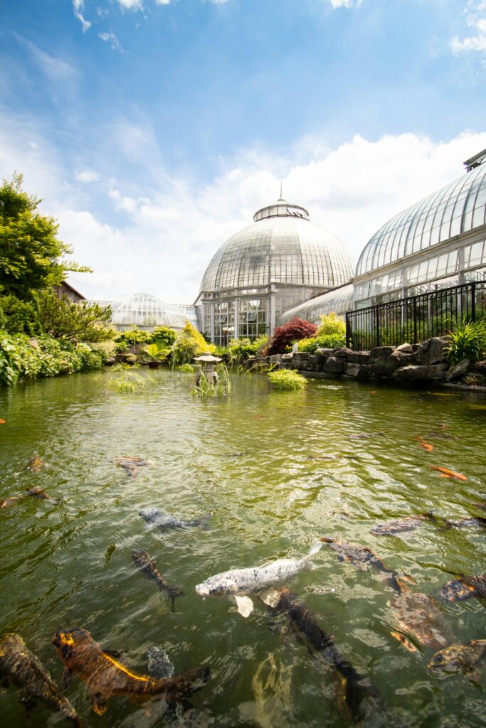 A prime location for engagement photos in metro Detroit featuring Belle Isle conservatory greenhouse. 